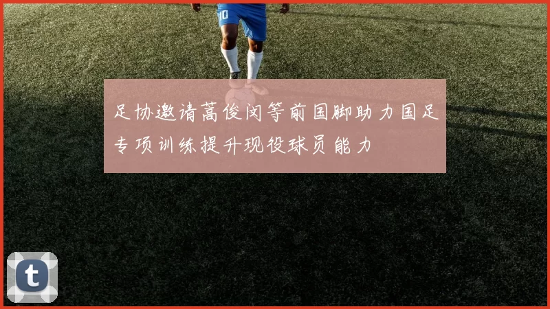 足协邀请蒿俊闵等前国脚助力国足专项训练提升现役球员能力