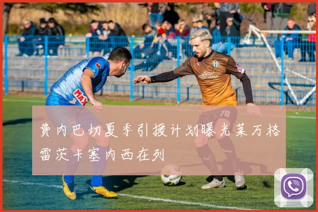 费内巴切夏季引援计划曝光莱万格雷茨卡塞内西在列